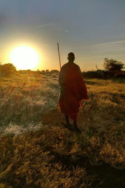 d702f9ac-c944-4e3b-9d22-0711959e4710